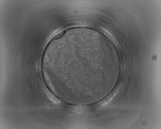 X0000096420797200802211122
