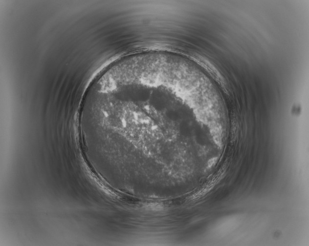 X0000096420798200802211122
