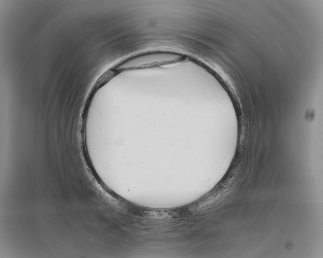 X0000096420799200802211122