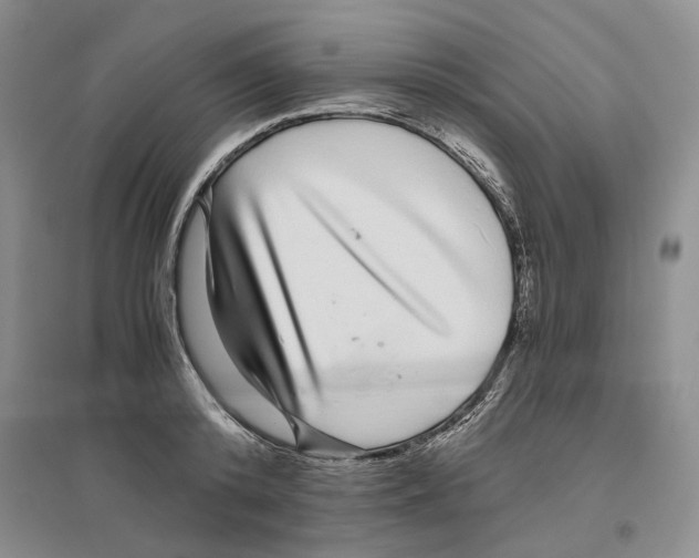X0000096420800200802211122
