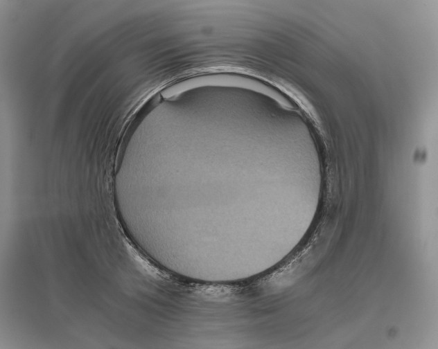 X0000096420801200802211122