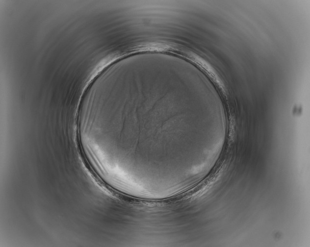 X0000096420802200802211122