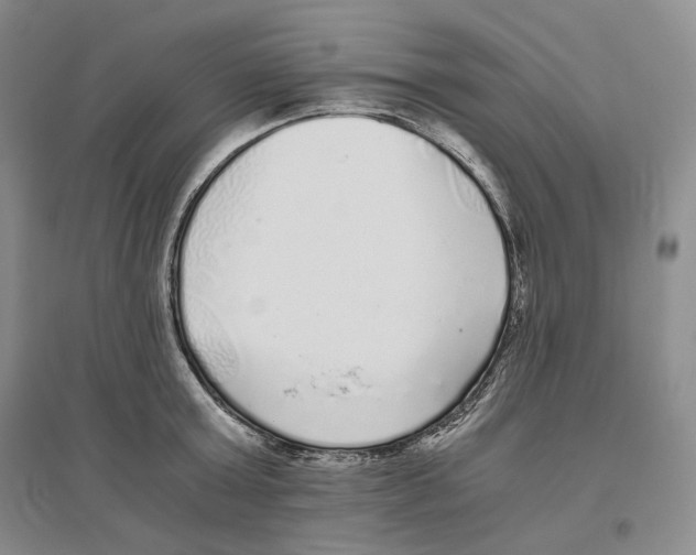 X0000096420803200802211122