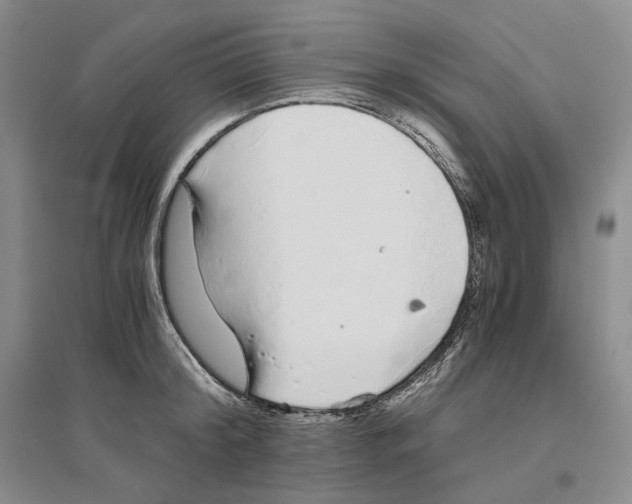X0000096420804200802211122