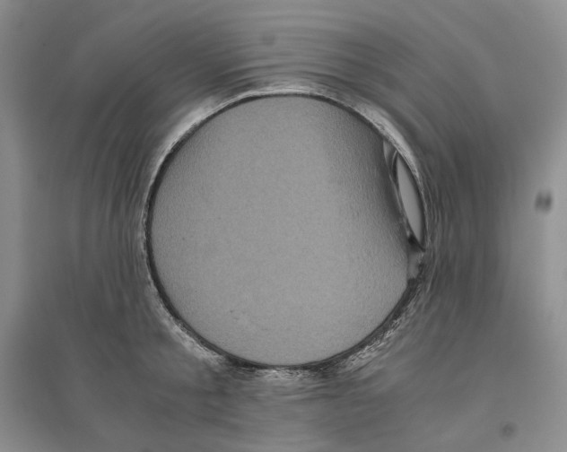 X0000096420805200802211122