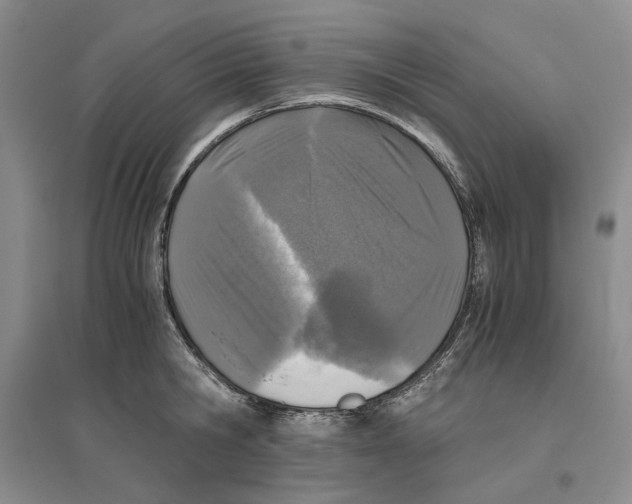 X0000096420806200802211122