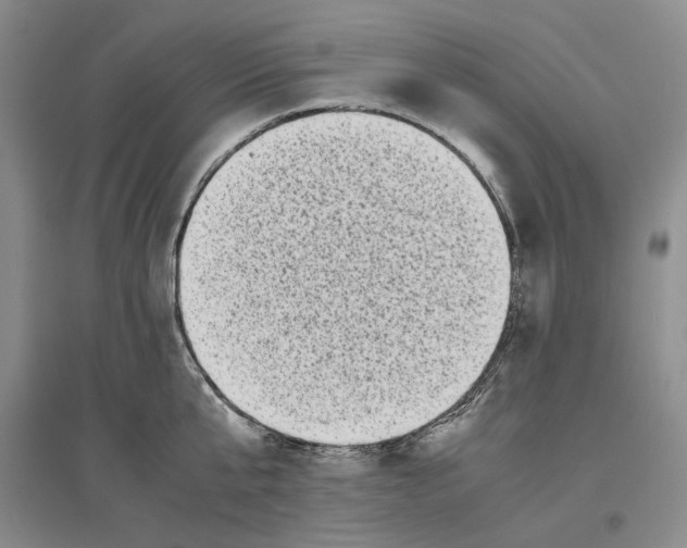 X0000096420807200802211122