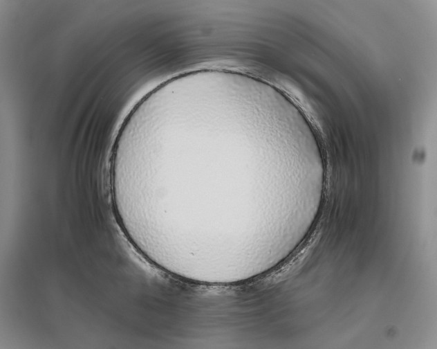 X0000096420808200802211122
