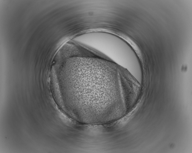 X0000096420809200802211122
