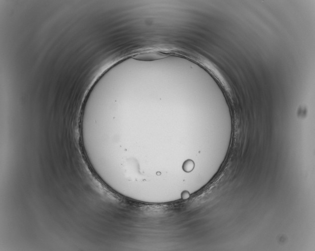 X0000096420810200802211122