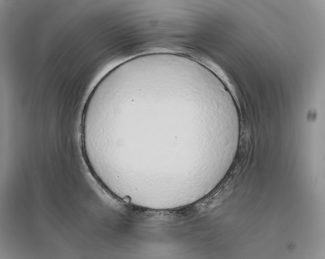 X0000096420811200802211122