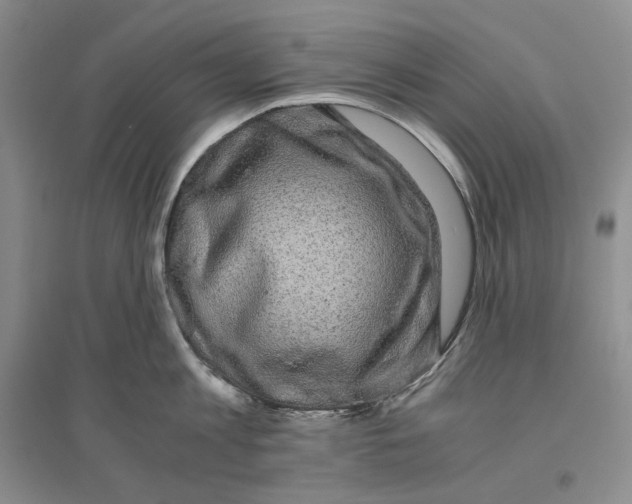 X0000096420813200802211122
