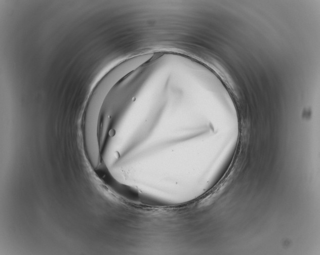 X0000096420814200802211122