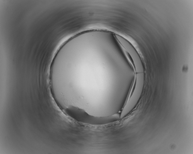 X0000096420815200802211122