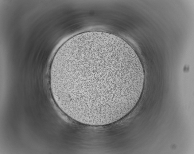 X0000096420816200802211122