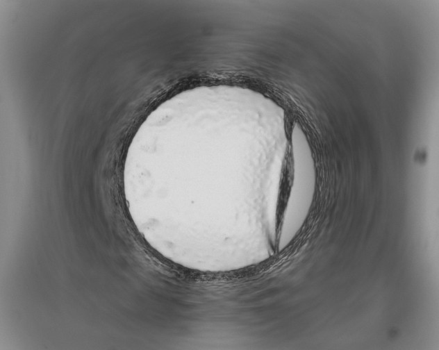 X0000096420817200802211121