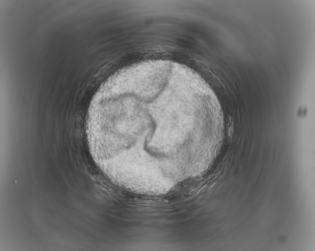 X0000096420819200802211121