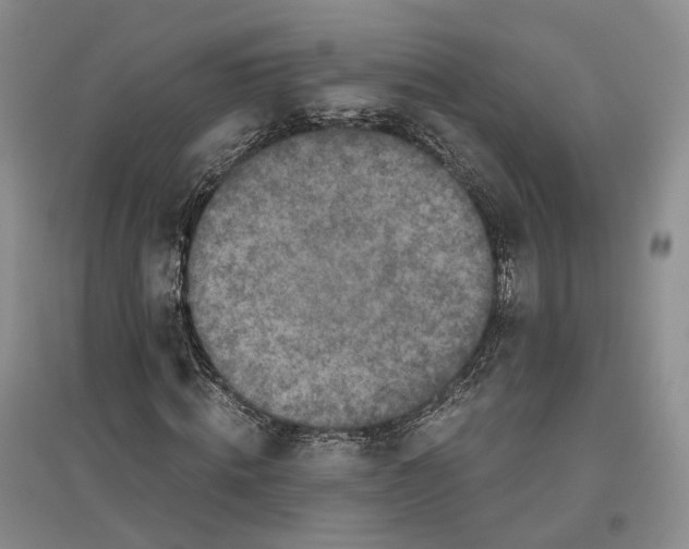 X0000096420820200802211121