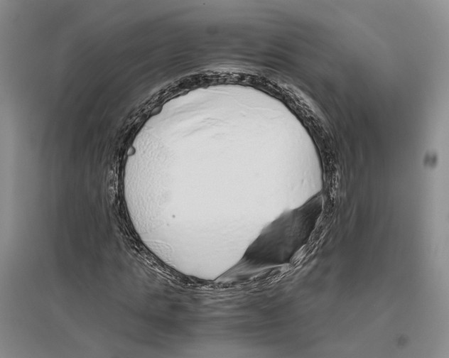 X0000096420821200802211121