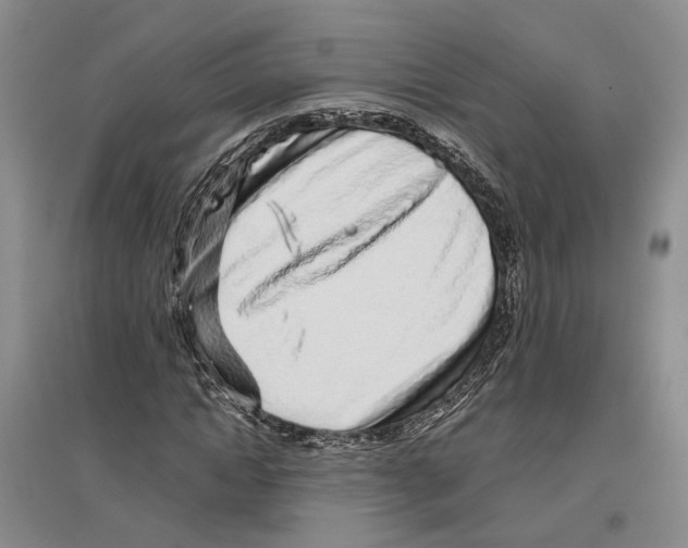 X0000096420822200802211121
