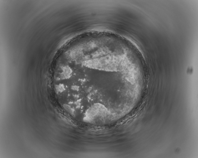 X0000096420823200802211121