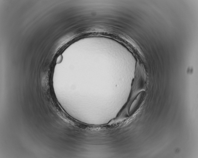 X0000096420826200802211121