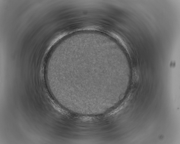 X0000096420827200802211122