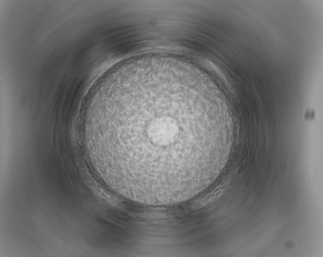 X0000096420828200802211122
