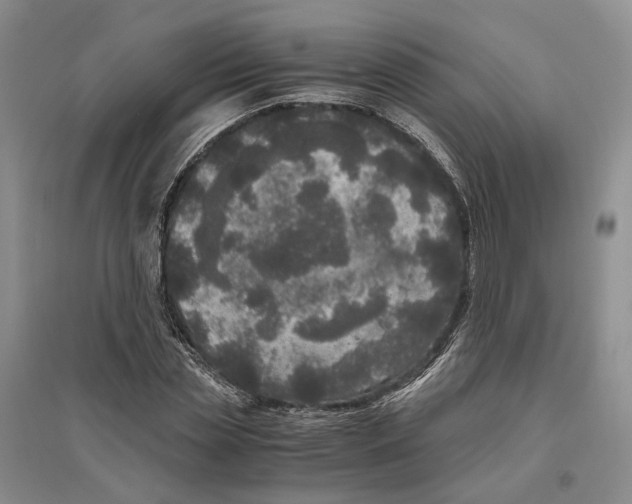 X0000096420829200802211122