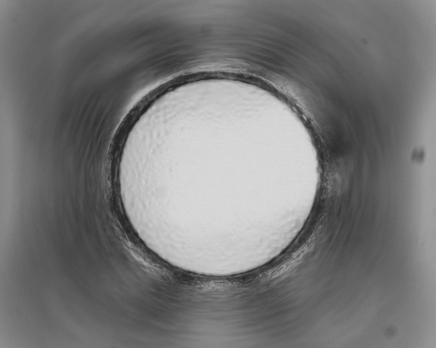 X0000096420830200802211122