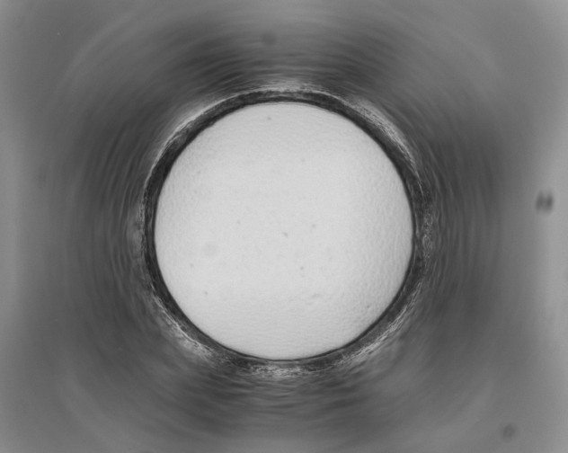 X0000096420831200802211122