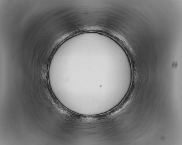 X0000096420833200802211122