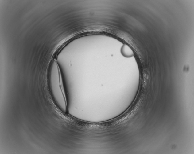 X0000096420834200802211122