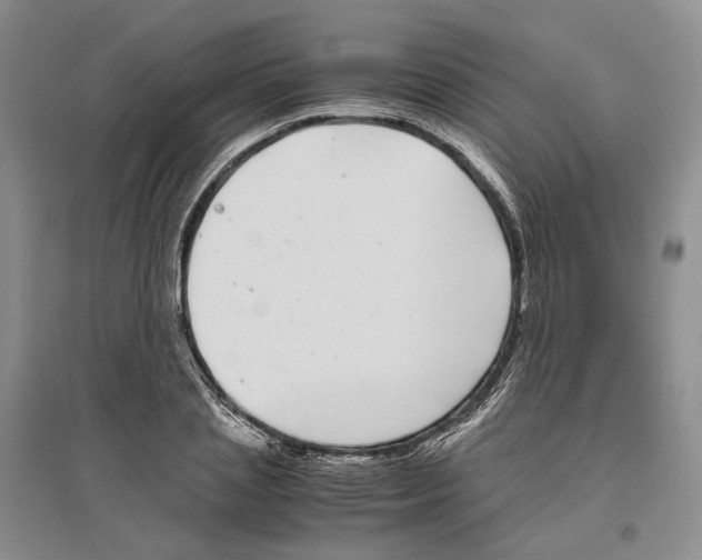 X0000096420837200802211122