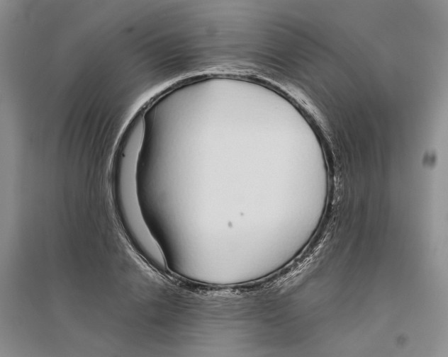 X0000096420838200802211122