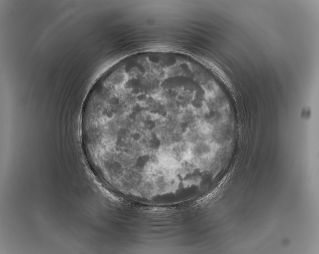 X0000096420839200802211122