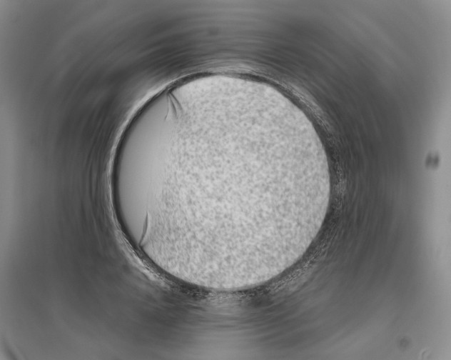 X0000096420840200802211122