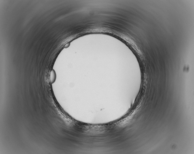 X0000096420841200802211122