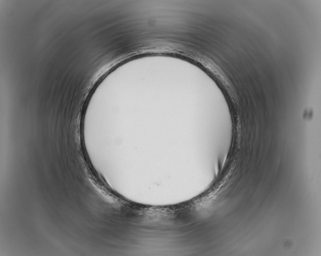 X0000096420842200802211122