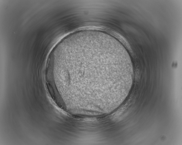 X0000096420844200802211122