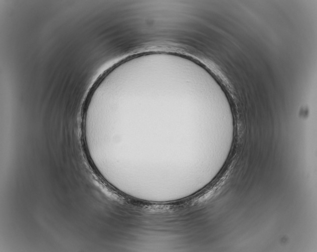 X0000096420846200802211122