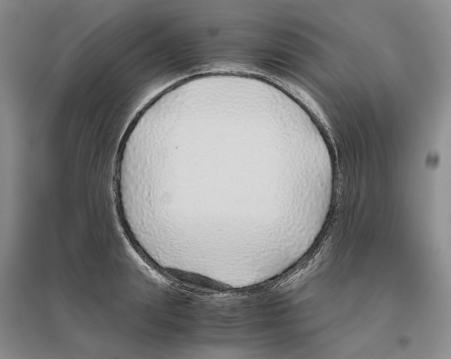 X0000096420847200802211122