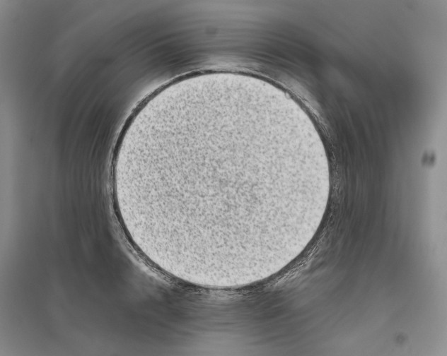 X0000096420848200802211122