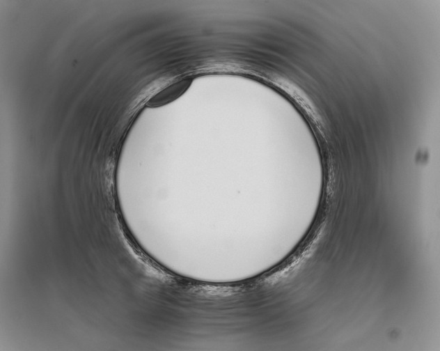 X0000096420849200802211122