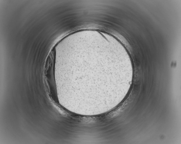 X0000096420850200802211122