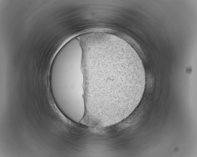X0000096420852200802211122
