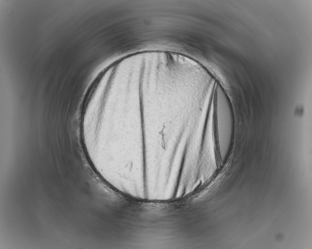 X0000096420854200802211122