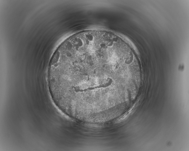 X0000096420855200802211122
