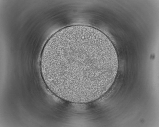 X0000096420856200802211122