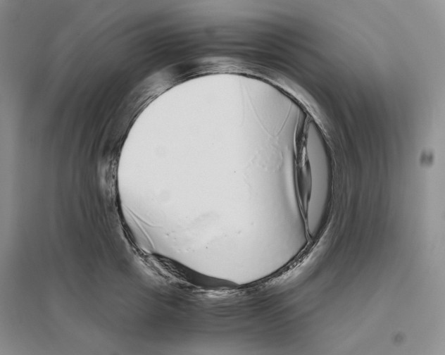 X0000096420857200802211122